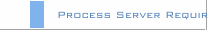 Process Server Requirement